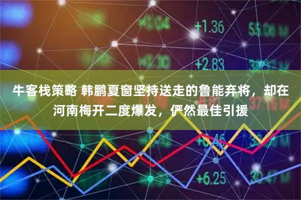 牛客栈策略 韩鹏夏窗坚持送走的鲁能弃将，却在河南梅开二度爆发，俨然最佳引援