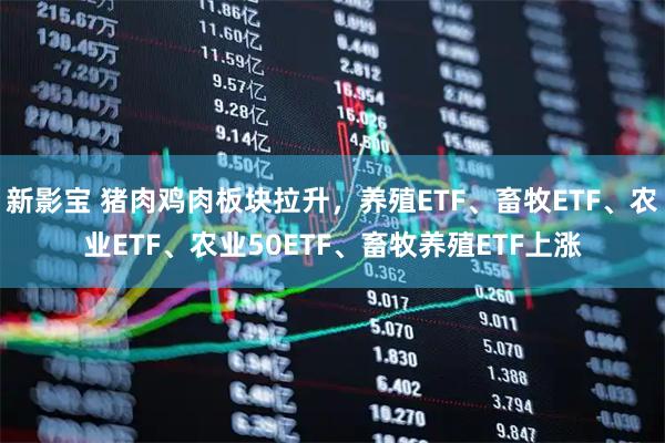 新影宝 猪肉鸡肉板块拉升，养殖ETF、畜牧ETF、农业ETF、农业50ETF、畜牧养殖ETF上涨