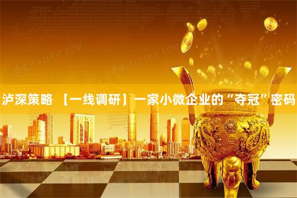 泸深策略 【一线调研】一家小微企业的“夺冠”密码