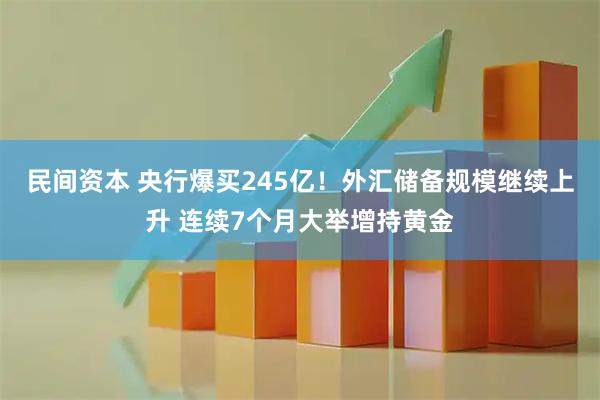 民间资本 央行爆买245亿！外汇储备规模继续上升 连续7个月大举增持黄金