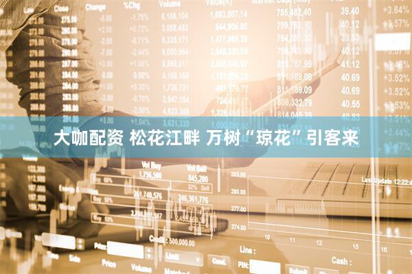 大咖配资 松花江畔 万树“琼花”引客来