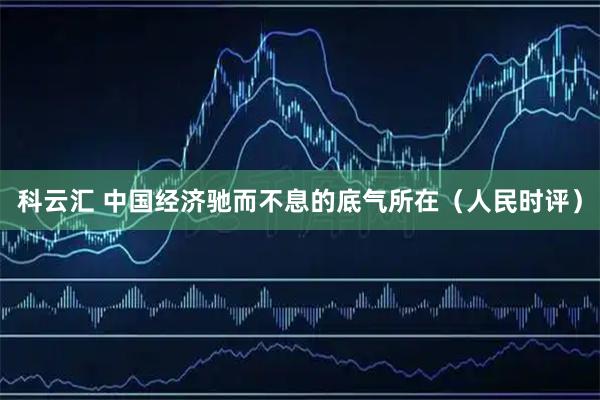 科云汇 中国经济驰而不息的底气所在（人民时评）